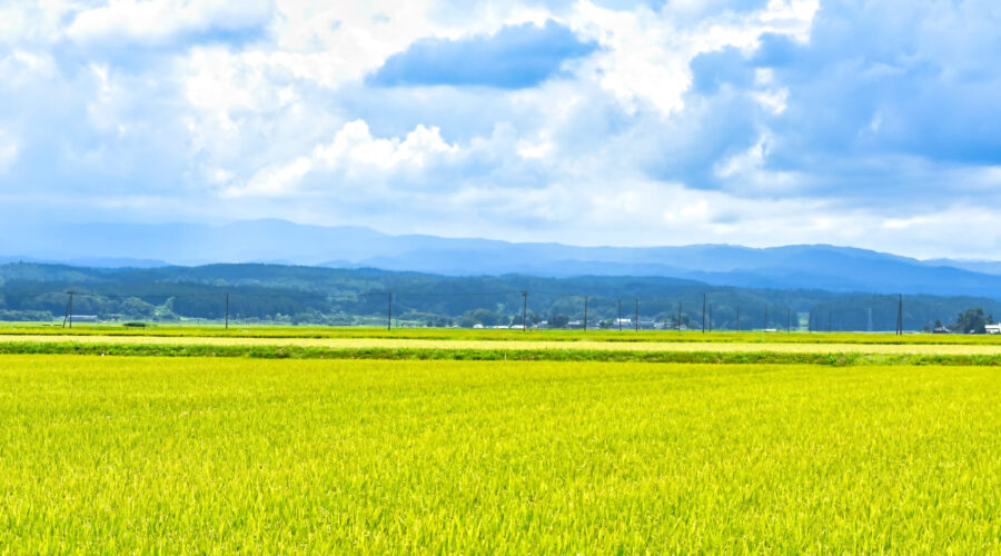 土地所有者必見！底地権と固定資産税の基礎知識